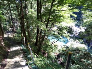 橋と川