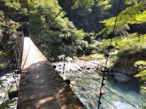 橋と川