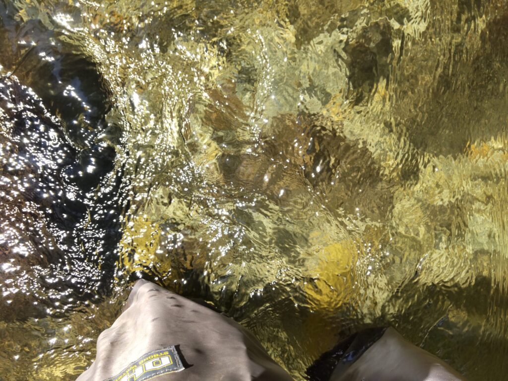 きれいな川