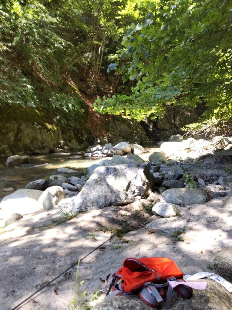 渓流の川辺