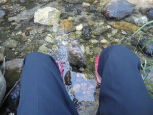 川で足を冷やす