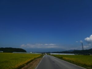 田んぼ道
