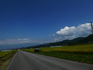田んぼ