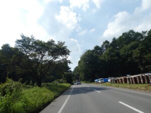 緑の多い道路