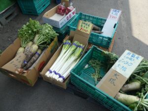 販売野菜