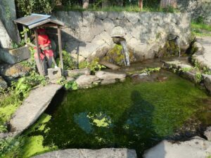湧水の池