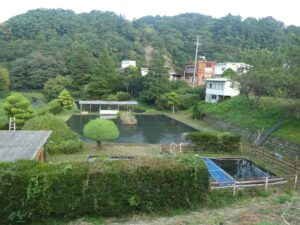 釣り堀