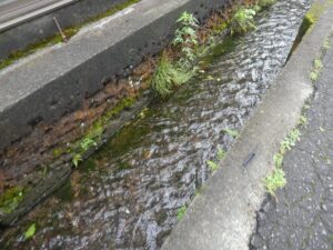 水路