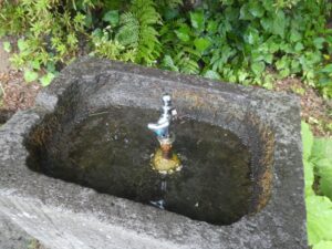 湧き水