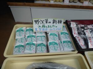 野沢菜の種