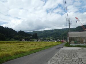 周りの様子