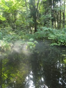 竜神の社