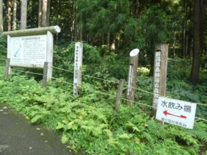 案内看板