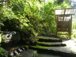 龍ヶ窪神社