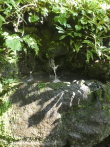 水飲み場