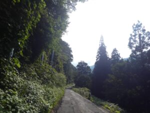 がたがた道