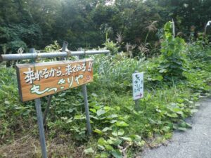 もっきりや看板