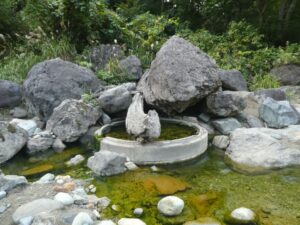 源泉