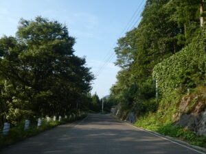 帰りの山道
