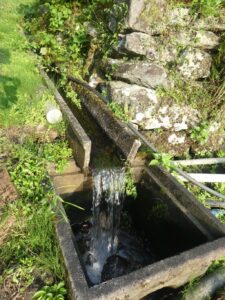 水路の水