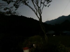外