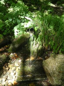 流れ出る湧き水
