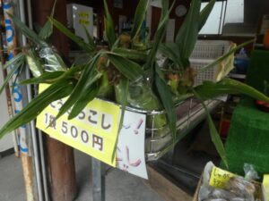 とうもろこし袋