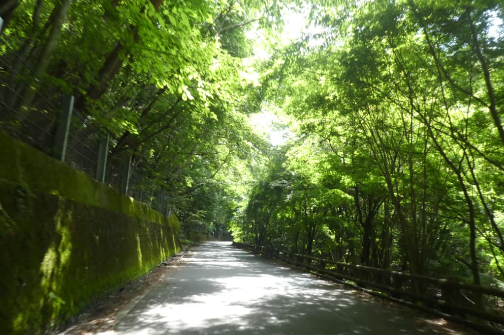 林道