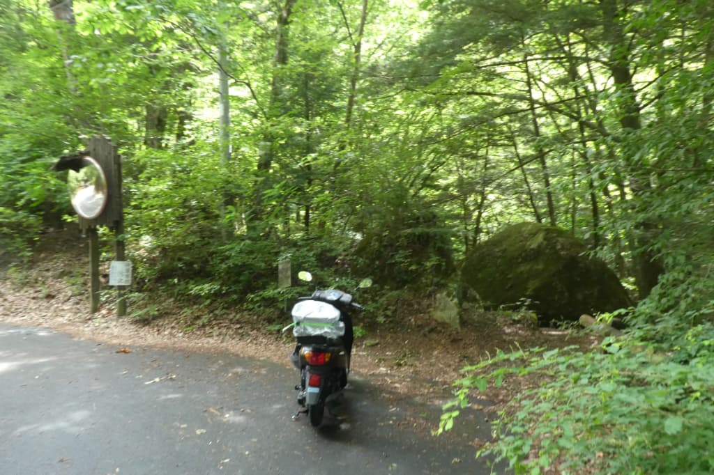 川へ降りる道
