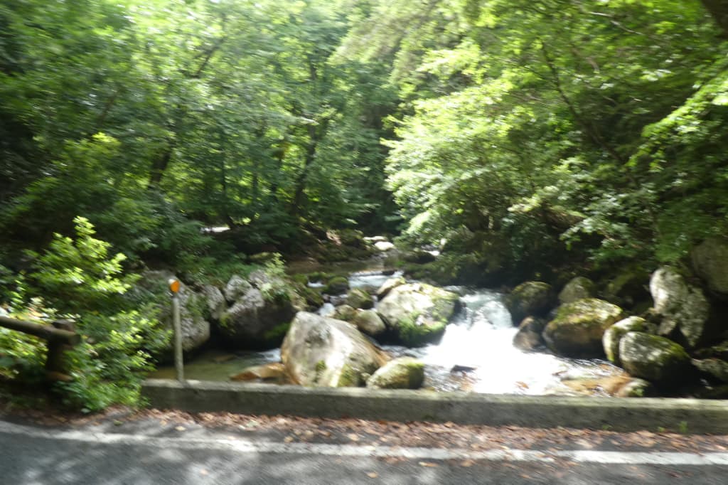 橋からの眺め