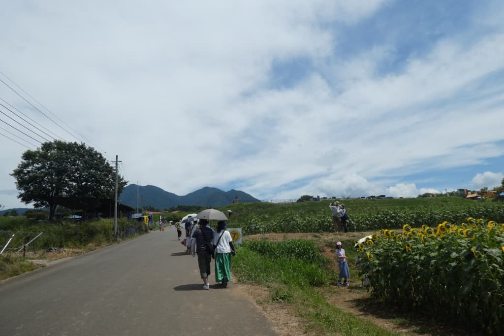 帰り道