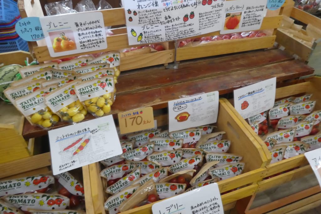 色んなトマト