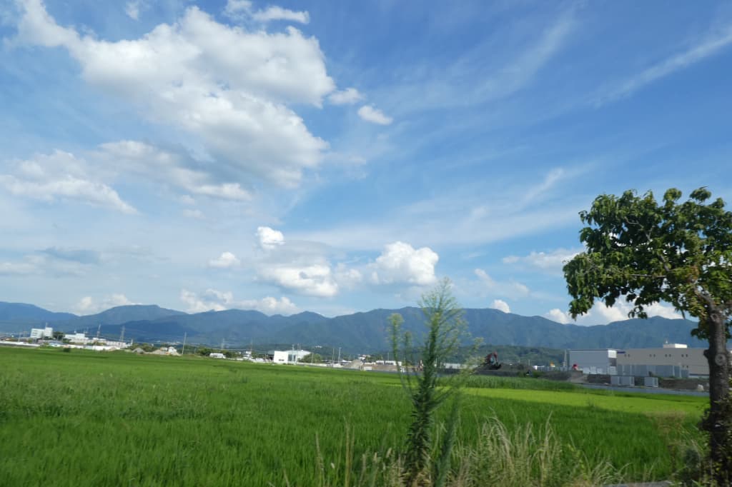 田んぼ