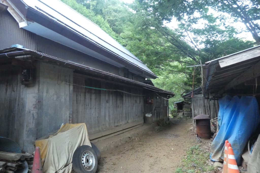 奥の建物