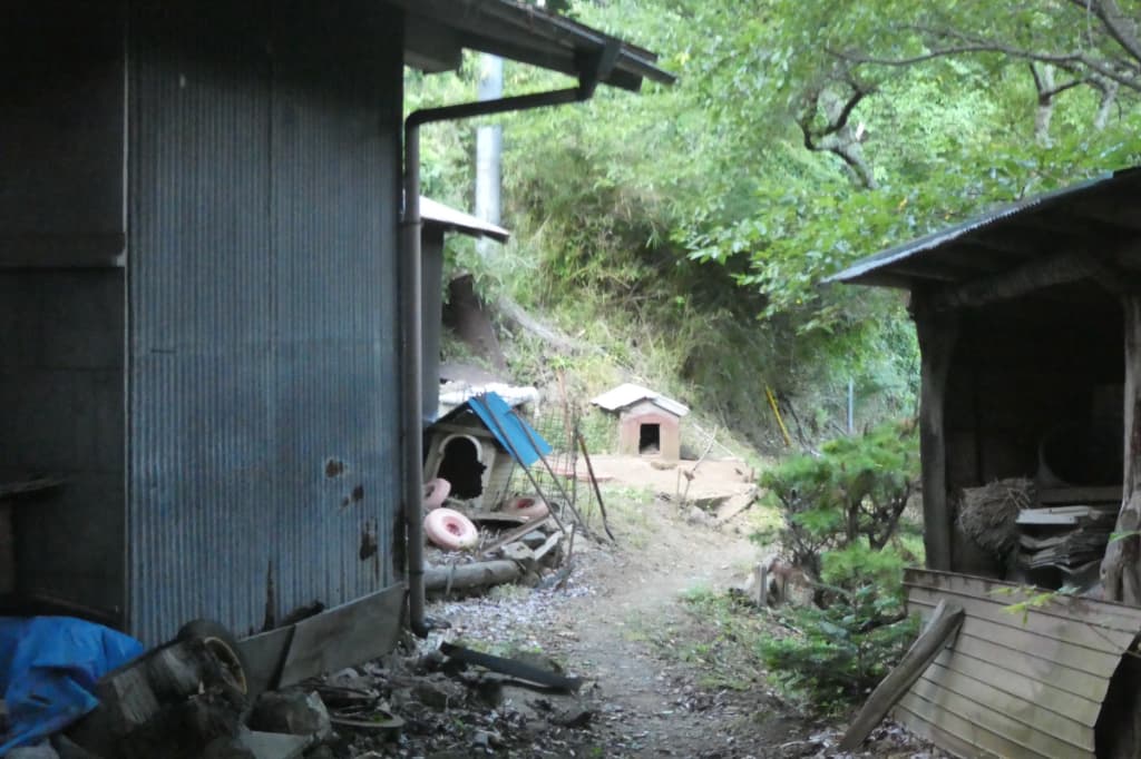 犬小屋