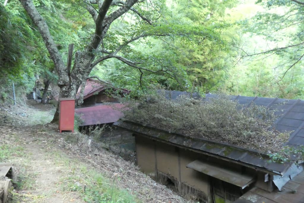 廃屋