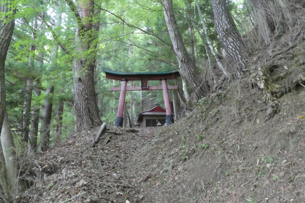 食後の散歩