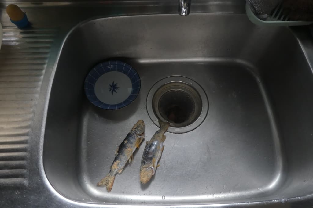 アマゴと流し