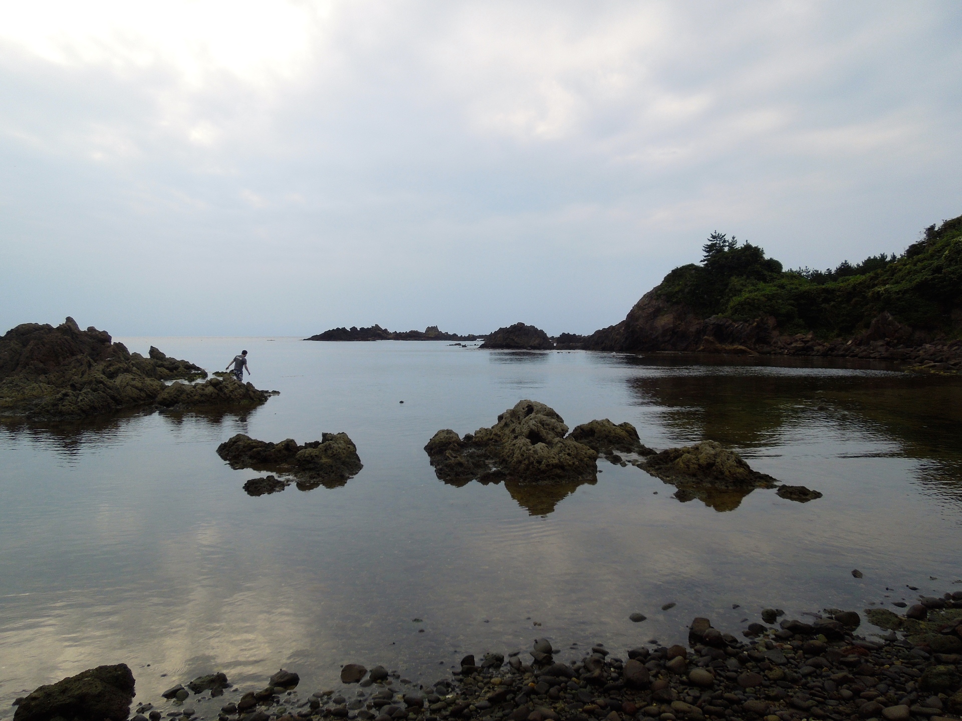 新潟 プライベートビーチでタコ獲りも 民宿たきもと 佐渡 相川 ネギの宿旅